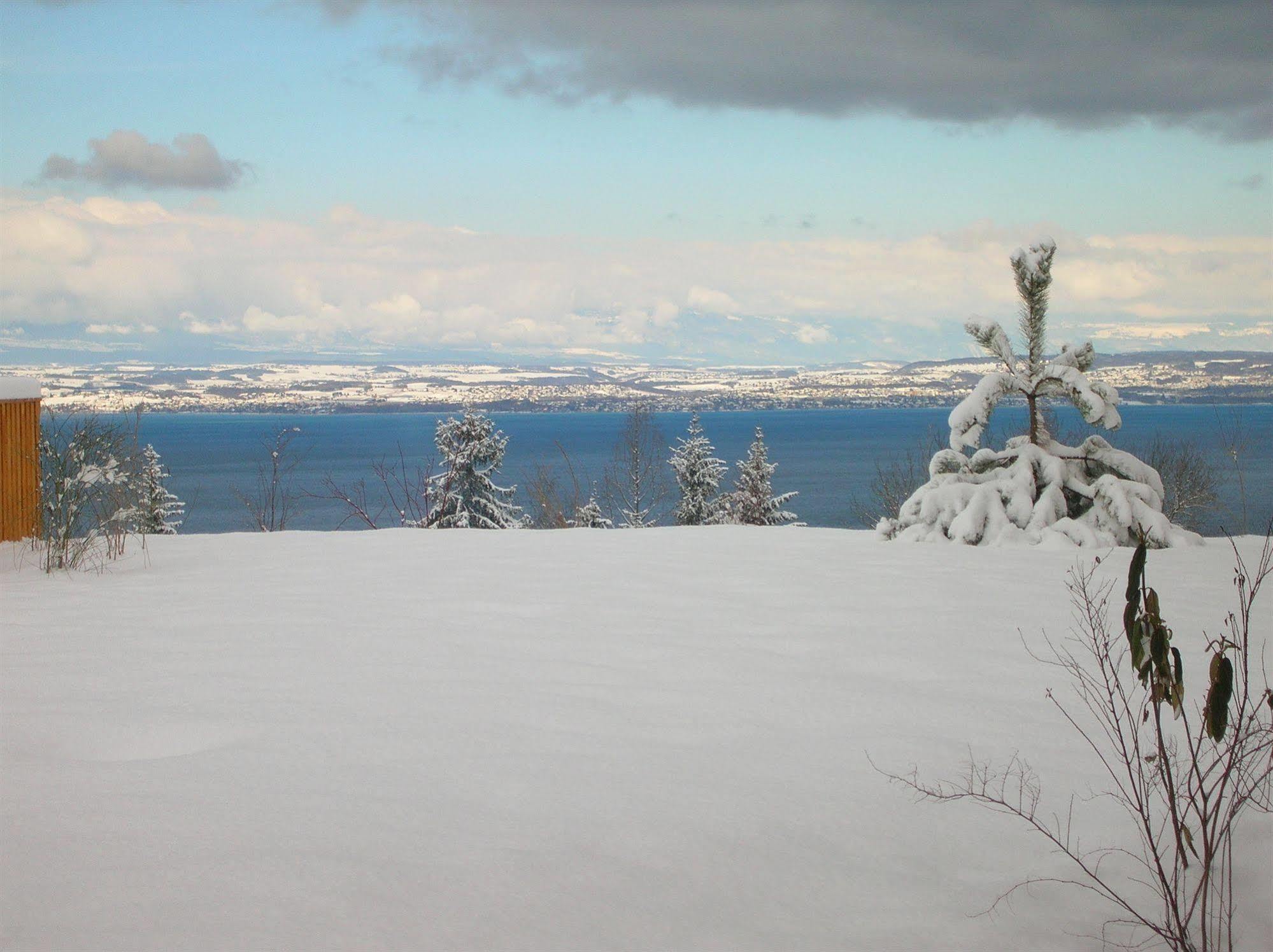 Résidence Odalys Les Chalets d'Evian Esterno foto